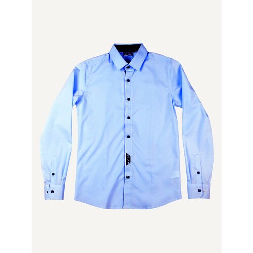 Школьная рубашка Deloras, полуприлегающий силуэт, на пуговицах, длинный рукав, без карманов, однотонная, размер 170, голубой